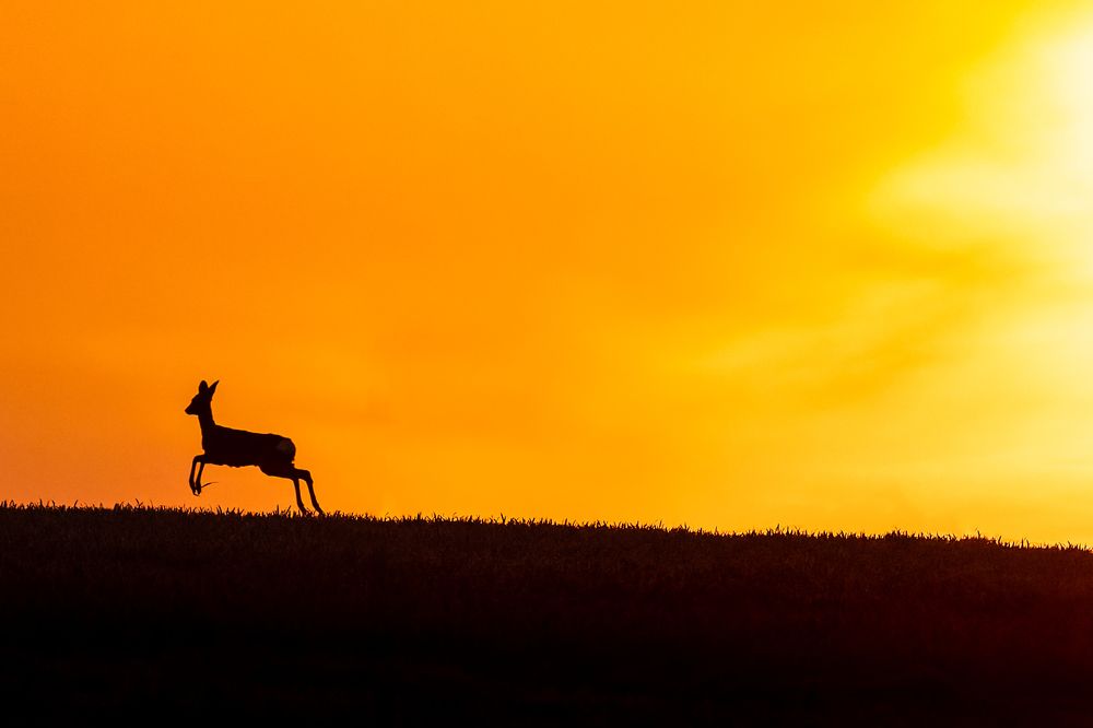 Photograph by Adrian Grigore