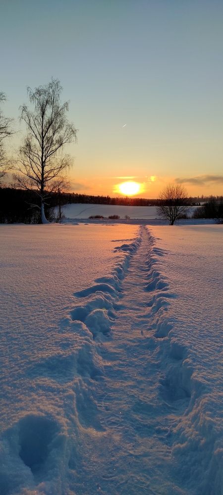 Белым полем