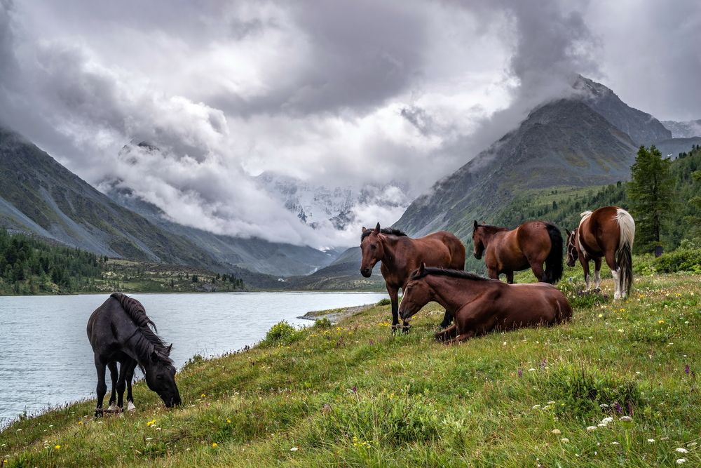 Photograph by Николай Васильев