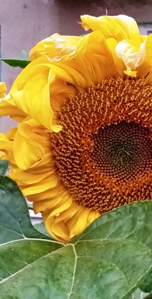 Photograph by Татьяна