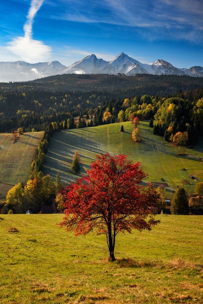 Photograph by Jan Ulicki