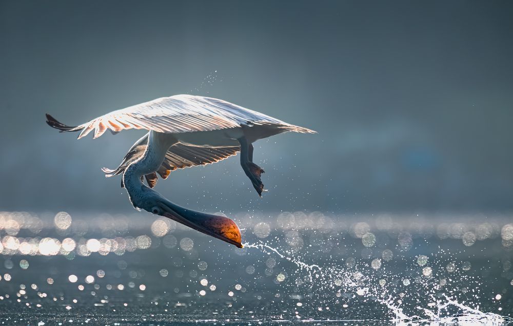 Photograph by Rakesh Baro