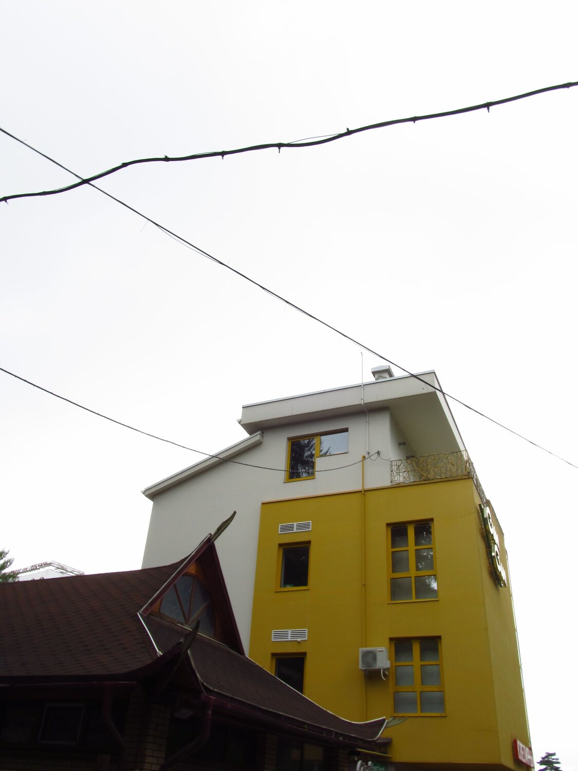 Photo #7389333
