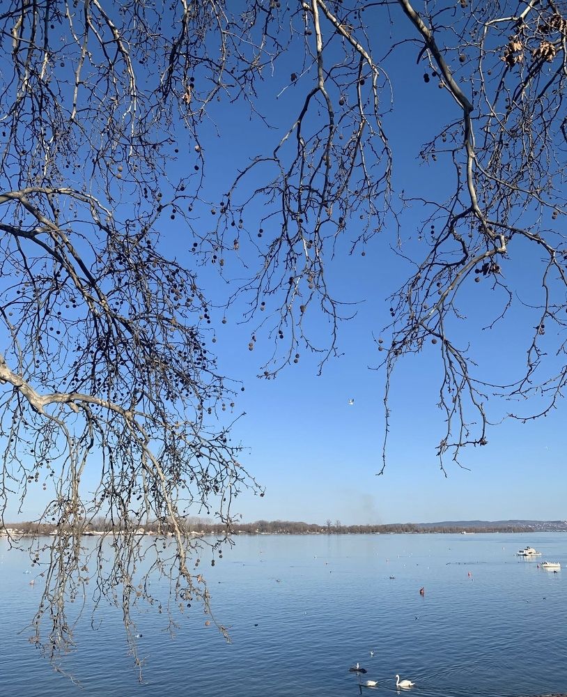 Photograph by Наталья Орешкина