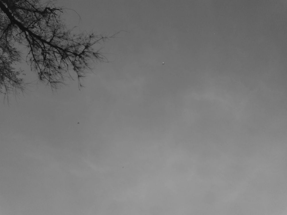 Photograph by Litvinova Ann