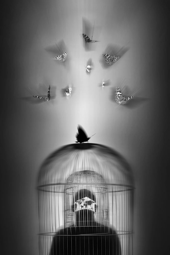 Photograph by amir badrazimi