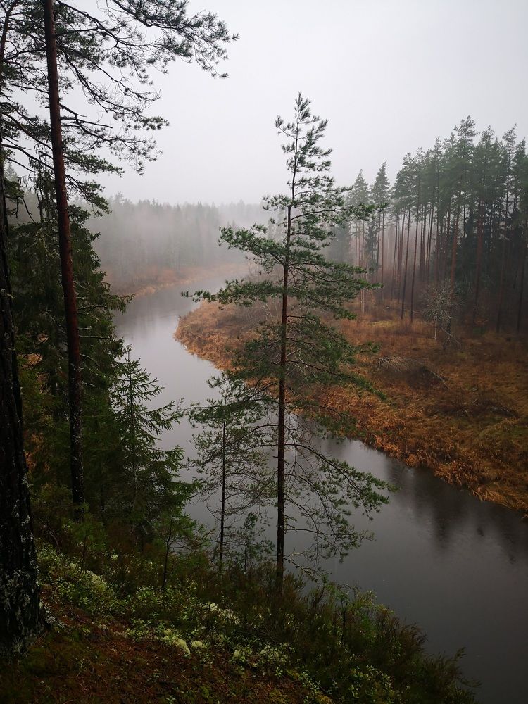 Photograph by Alla Roslova