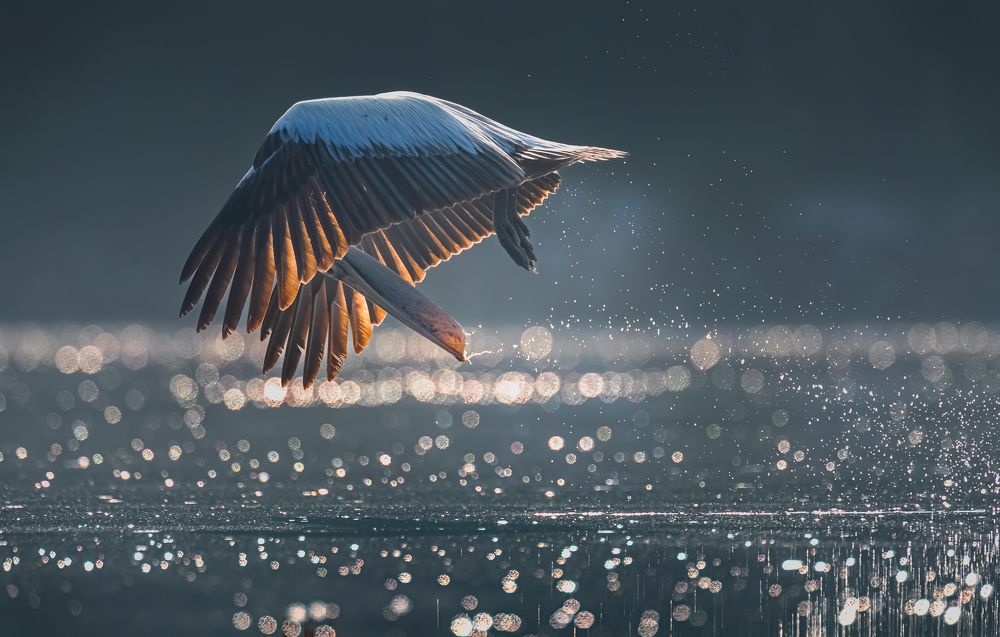 Photograph by Rakesh Baro