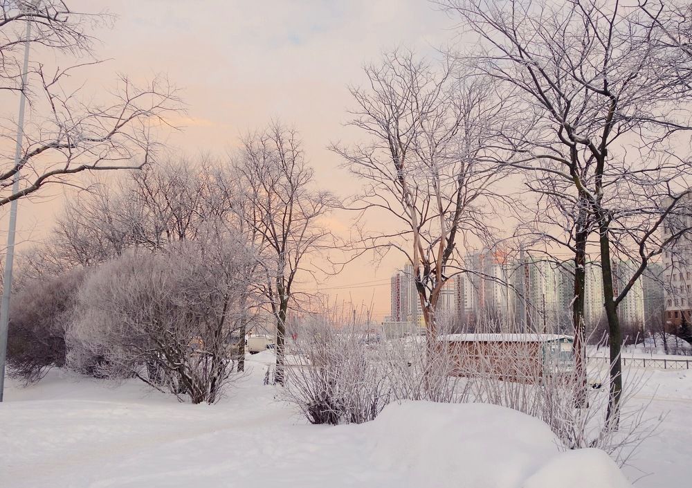 Photograph by Елена Жукова