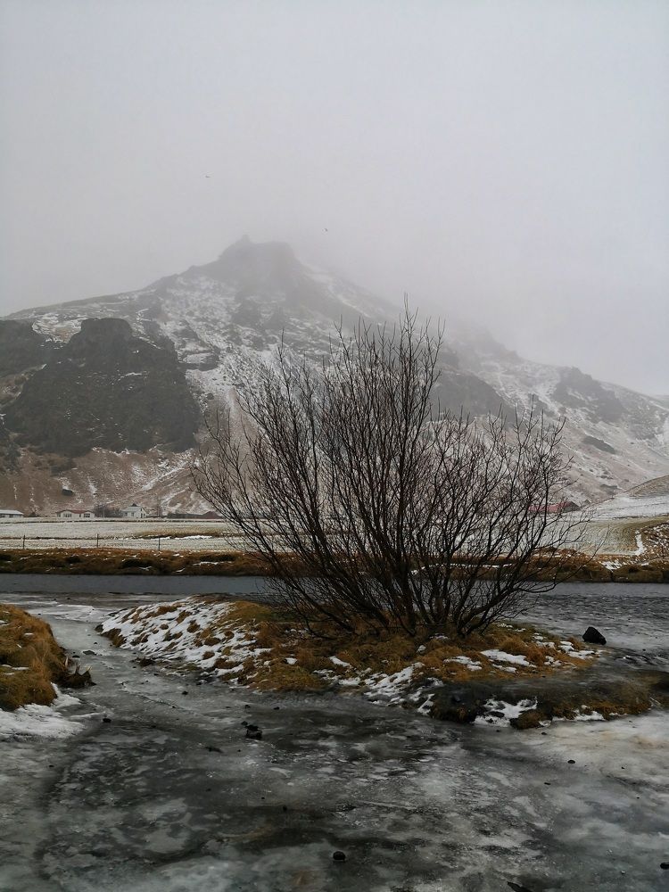 Photograph by Alla Roslova