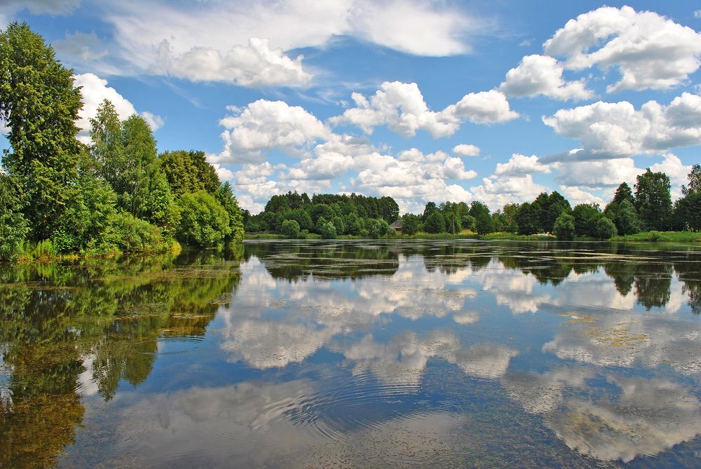 Photograph by Алексей