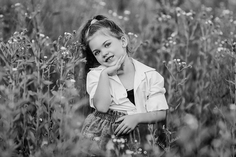 Ромашковое поле