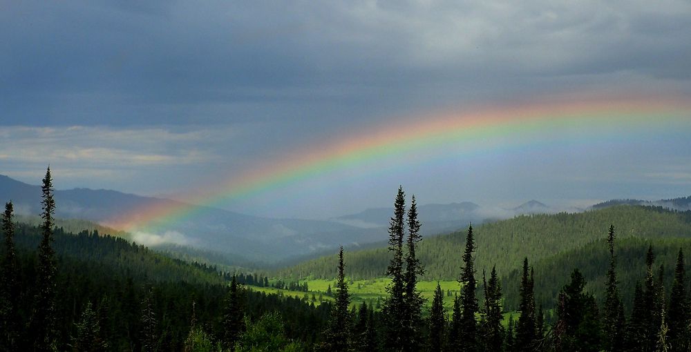 Photograph by Александр Баран