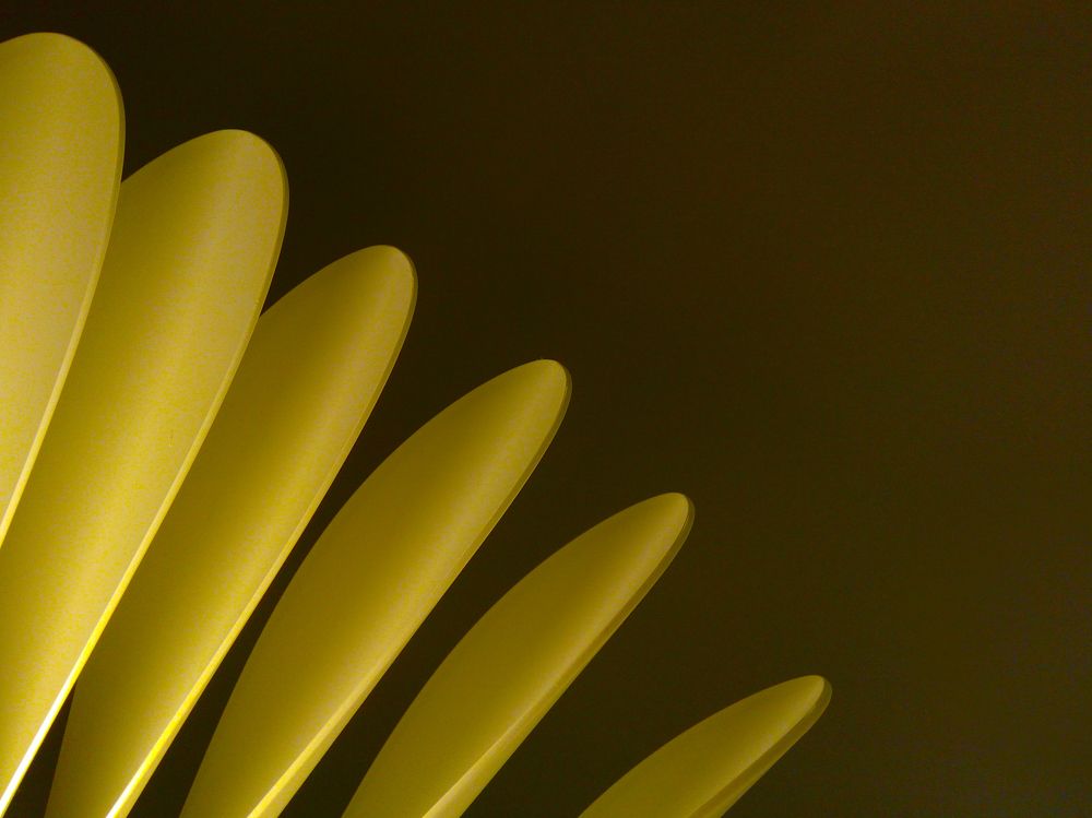 Photograph by Игорь Кутний