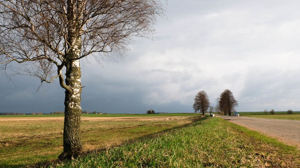 Фотография автора Александр Буренко