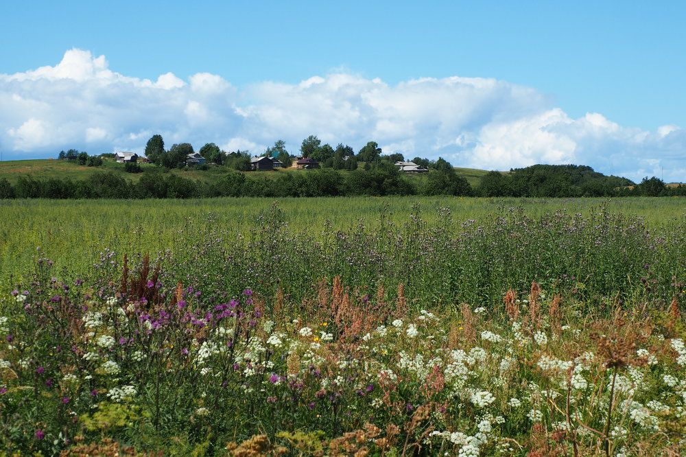 Photograph by Анна Тиунова