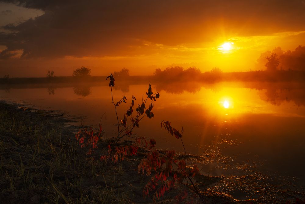 Photograph by Матвей Краузе