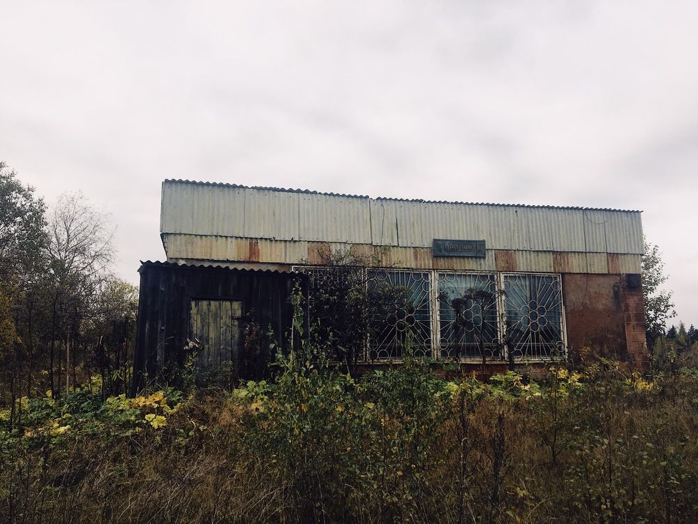 Россия. Кировская область. 2021 год