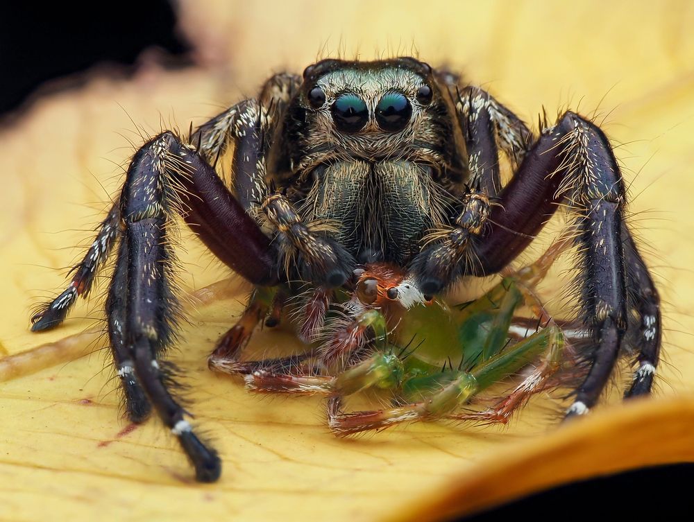 Photograph by Madhan Kumar Balaguru