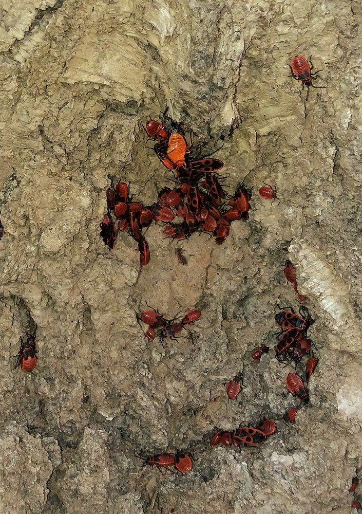 Фотография автора Владислава Андрюнина