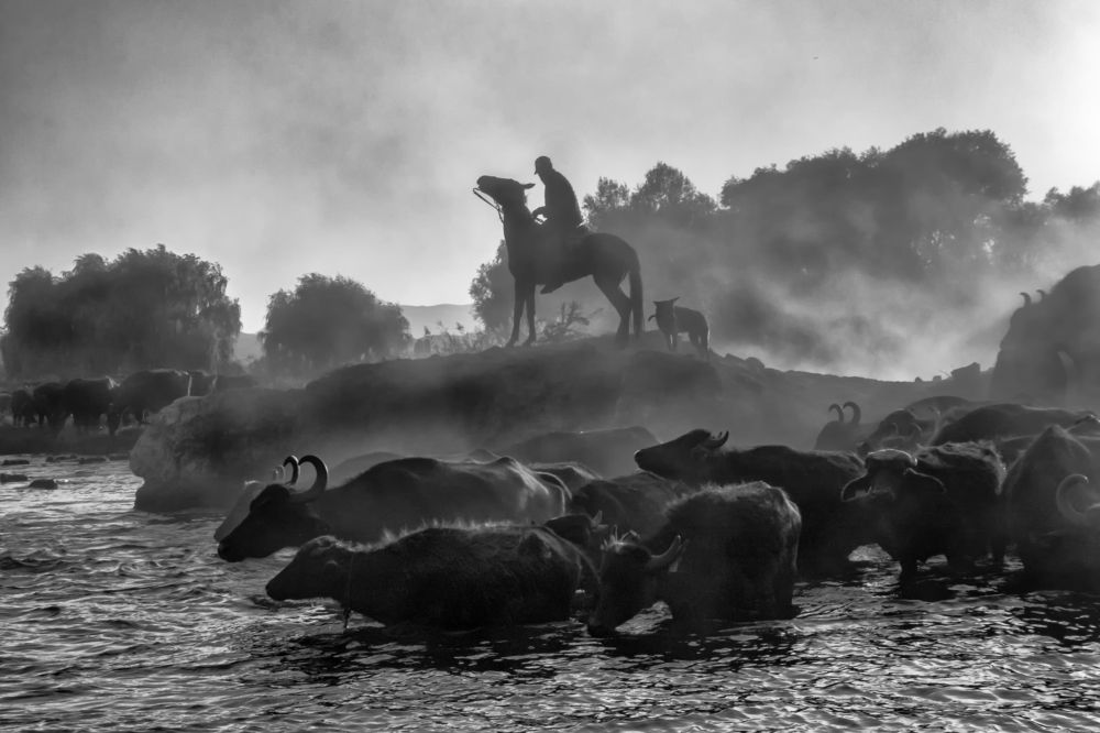 Фотография автора Aylin Turnator