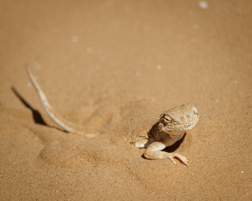 Фотография автора Сыч Римма