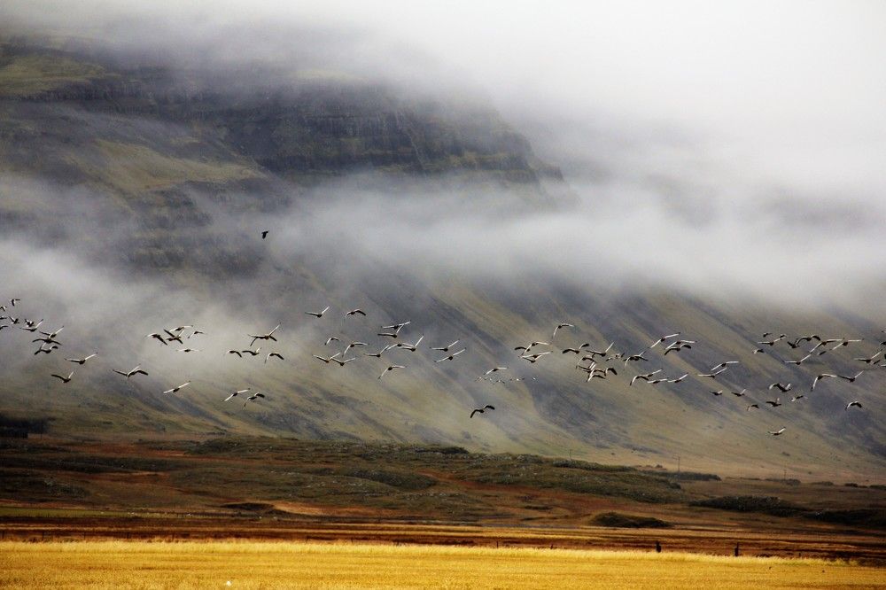 Photograph by Eftychia Nikoletaki