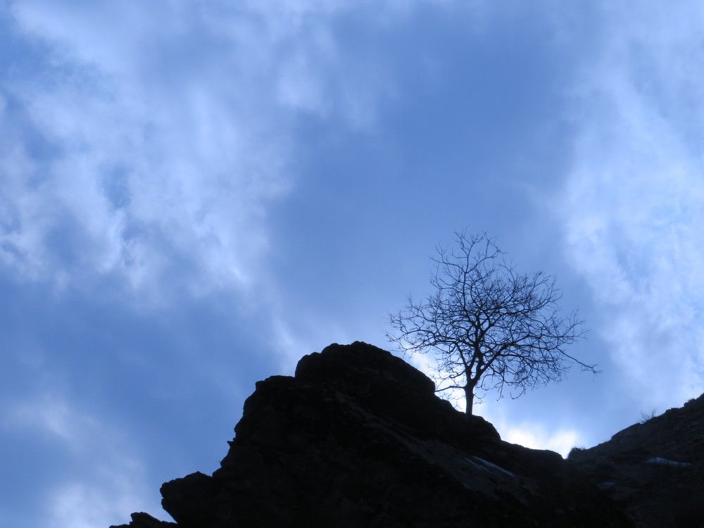 Фотография автора Mahdi Mohammadi