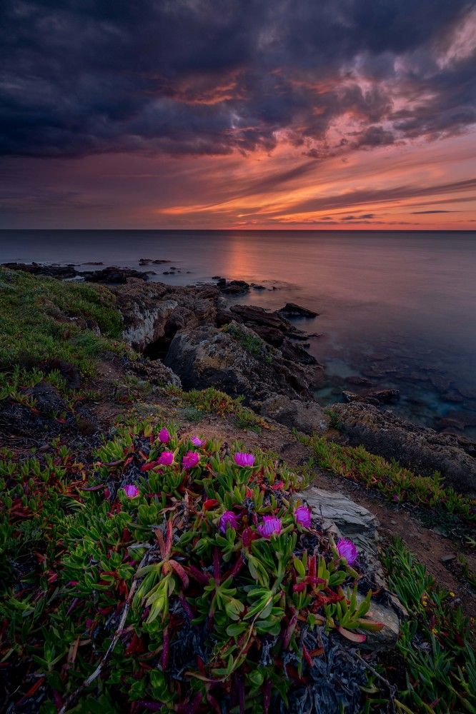 tranquility a place from