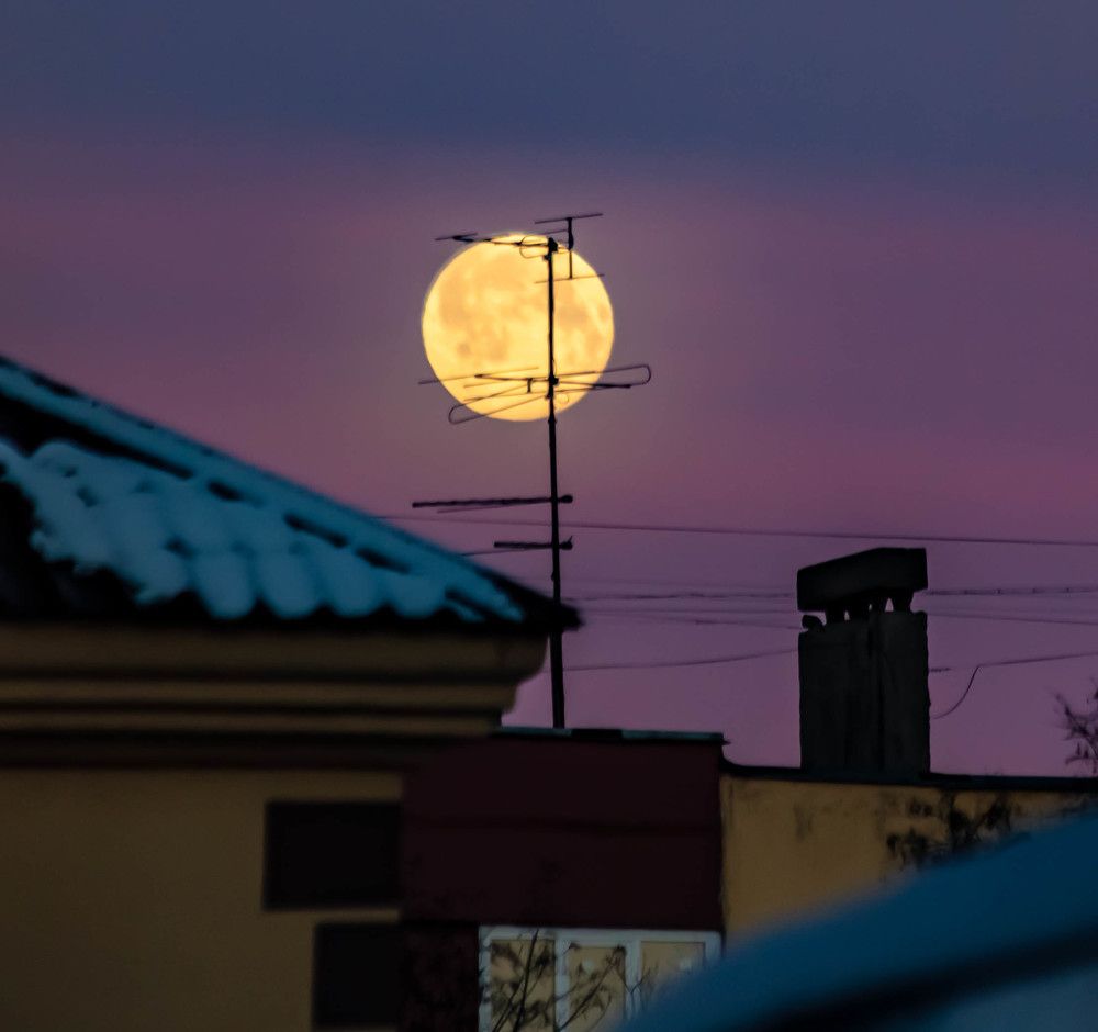 Photograph by Ольга Сафронова