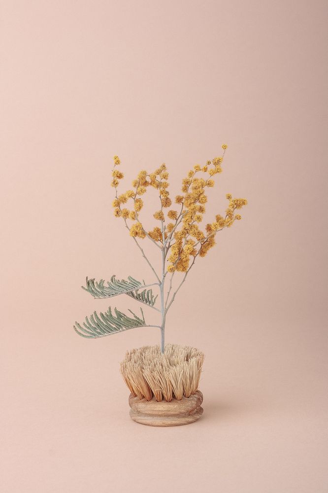 Photograph by Ольга Козлова