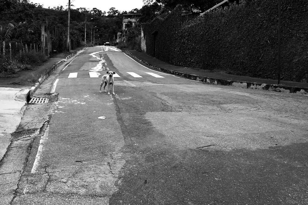 Photograph by Tatiana Barthem