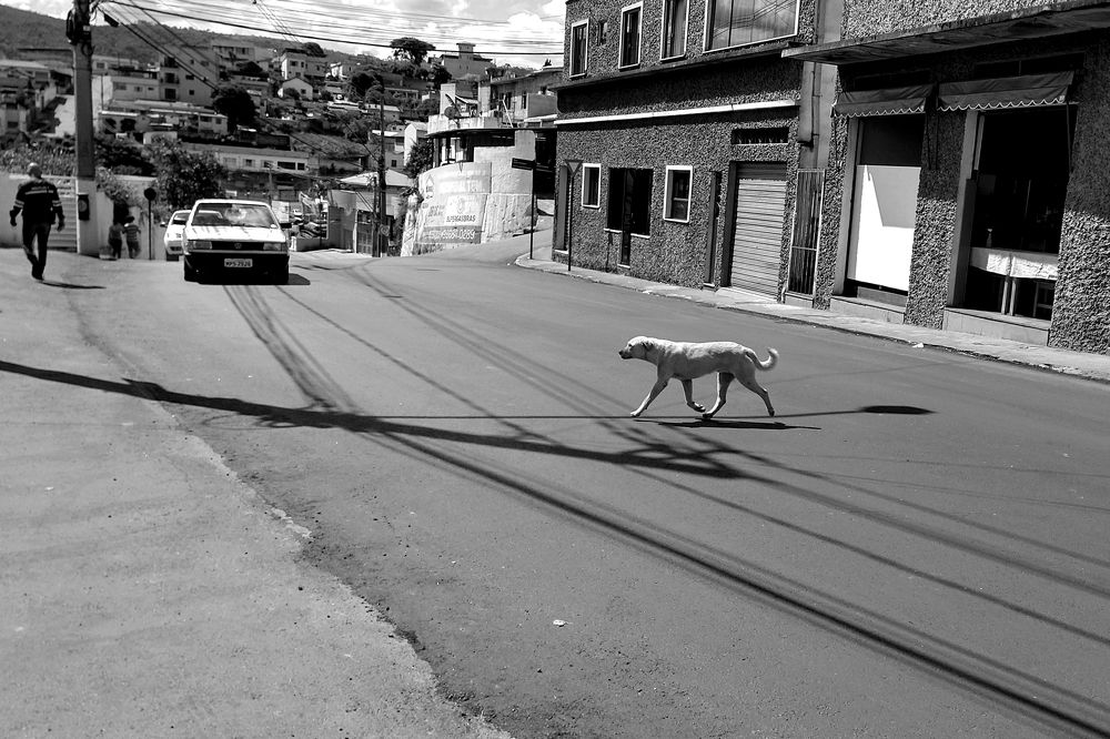 Photograph by Tatiana Barthem