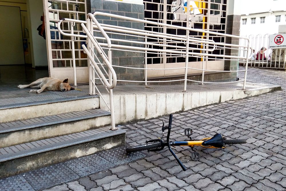 Photograph by Tatiana Barthem