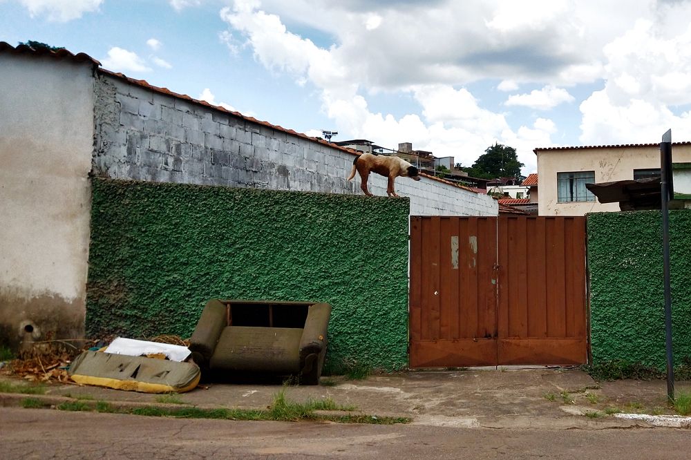 Photograph by Tatiana Barthem