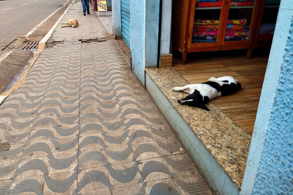 Photograph by Tatiana Barthem