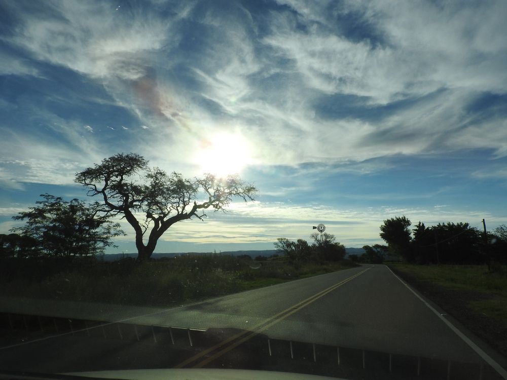 Photograph by Cristina Bosio Ferrer