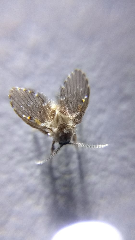 Фотография автора Mahdi Mohammadi