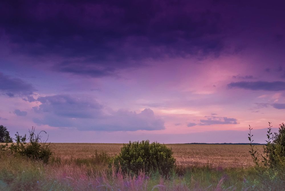 Фотография автора Александр Буренко