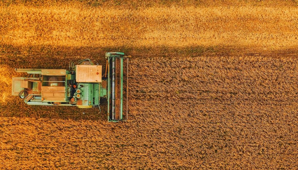 Photograph by Паша Савельев