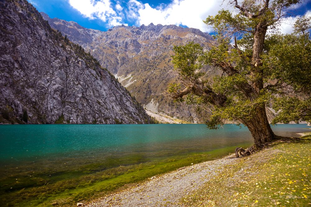 Фотография автора Татьяна Меньшикова