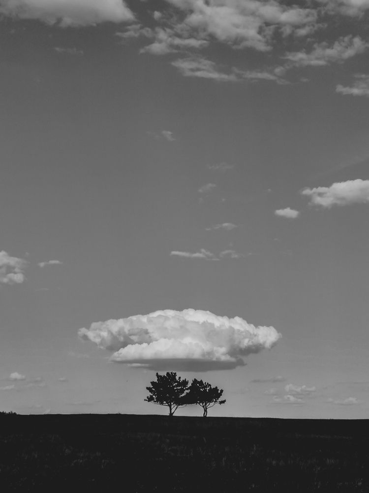 Photograph by Ульяна Рожнова