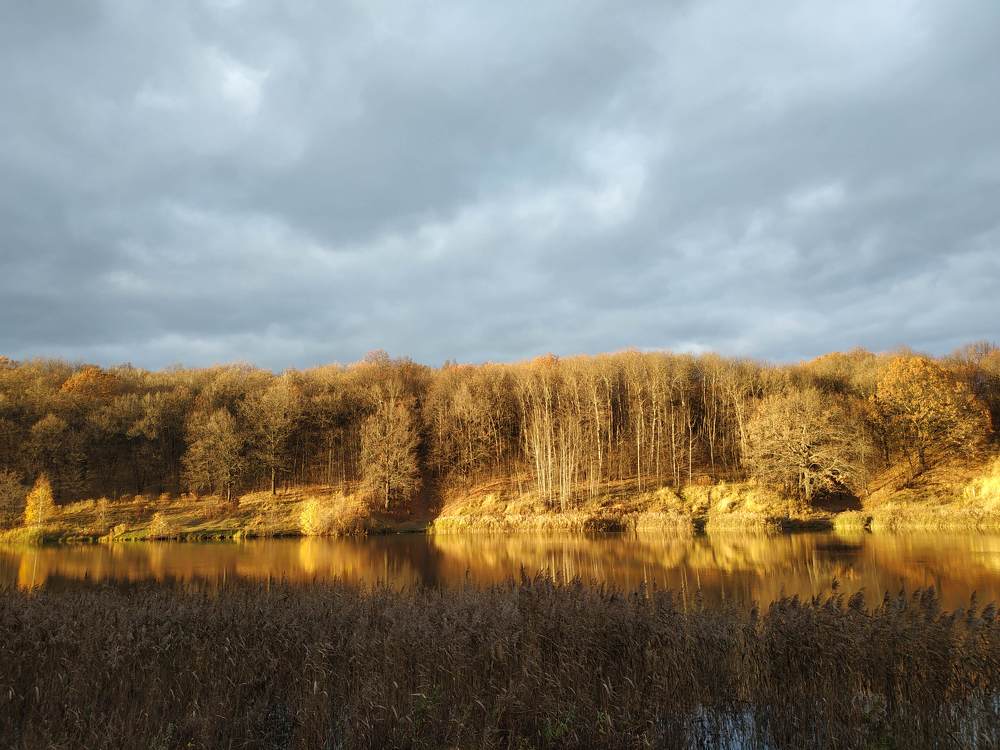 Photograph by Алексей Чурушкин