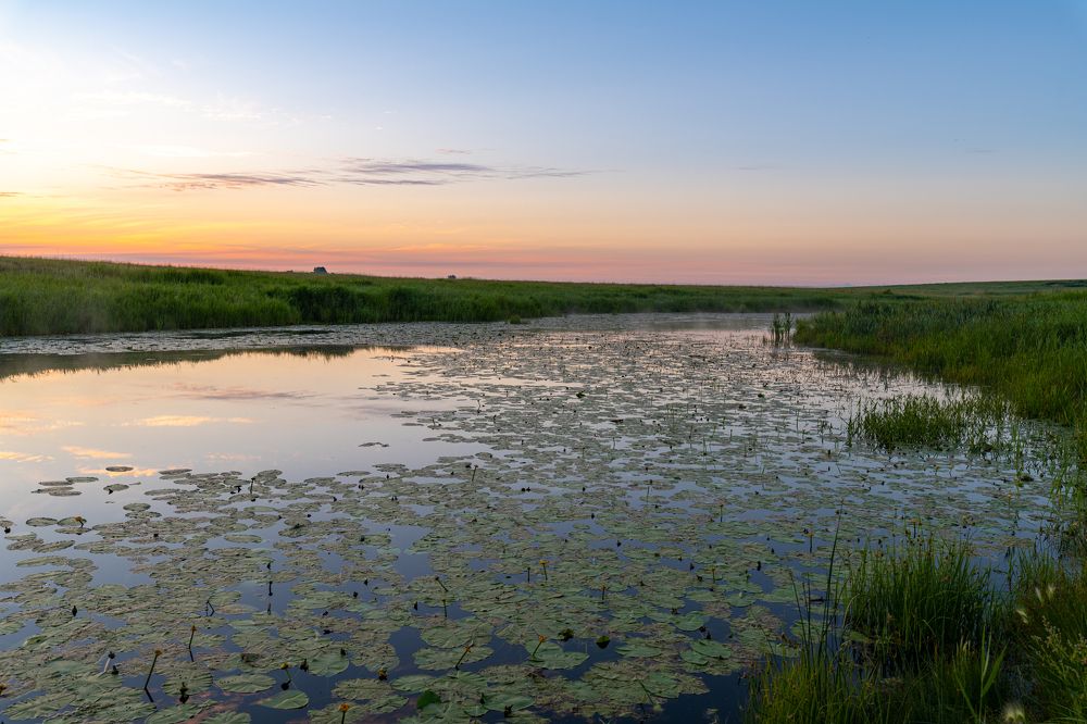 Photograph by Антон Жирнов