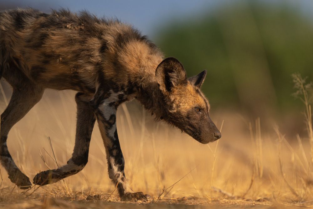 Photograph by Chris Stavrakas