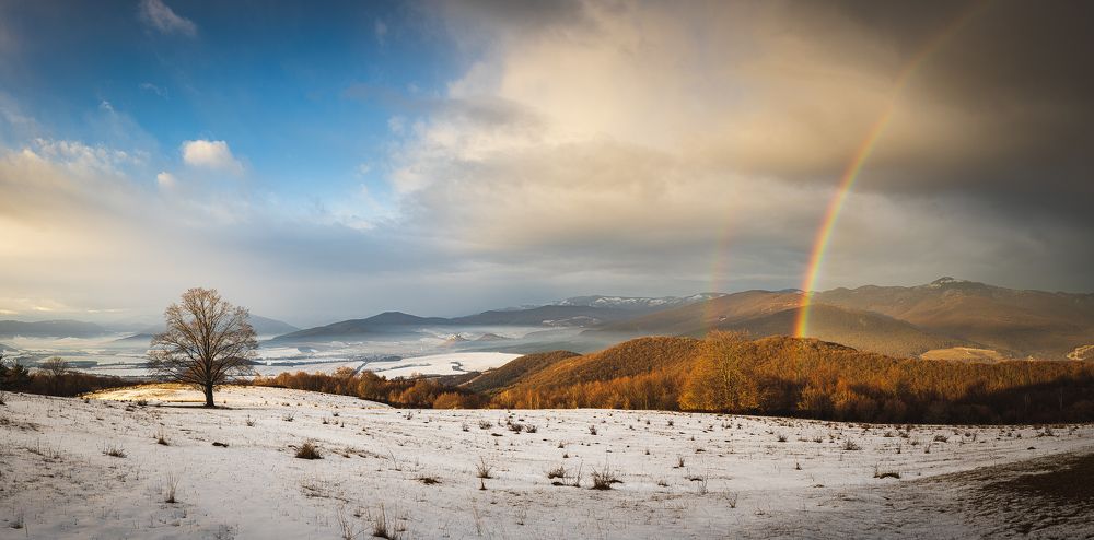 Photograph by Robert Barsa