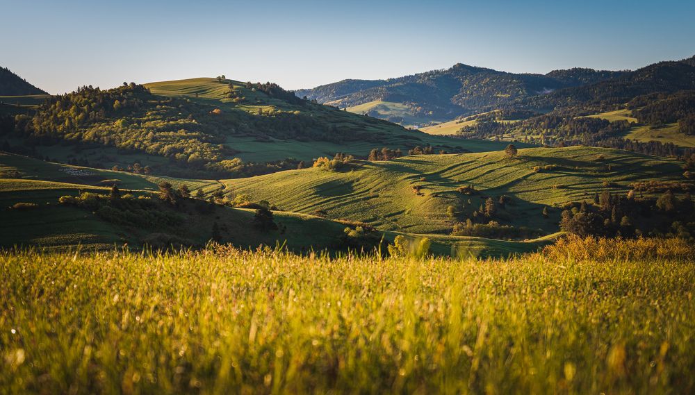 Photograph by Robert Barsa