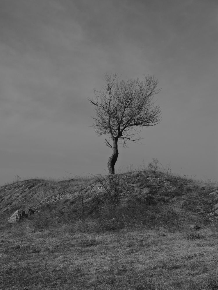 Photograph by Фомин Алексей