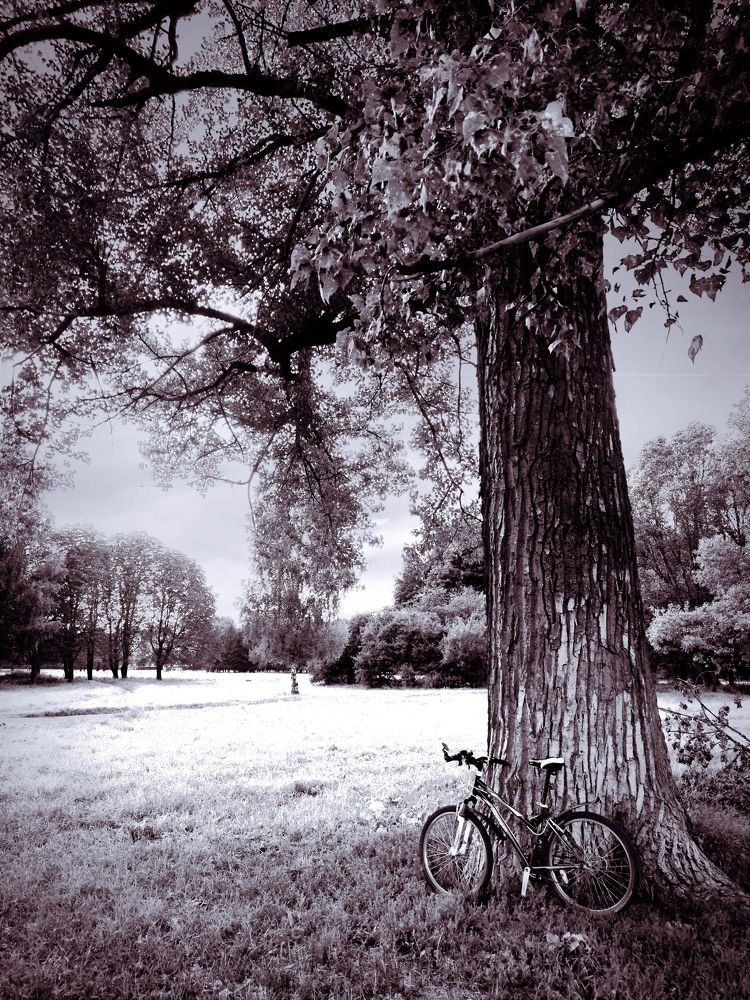 Photograph by Ирина Сыровежкина