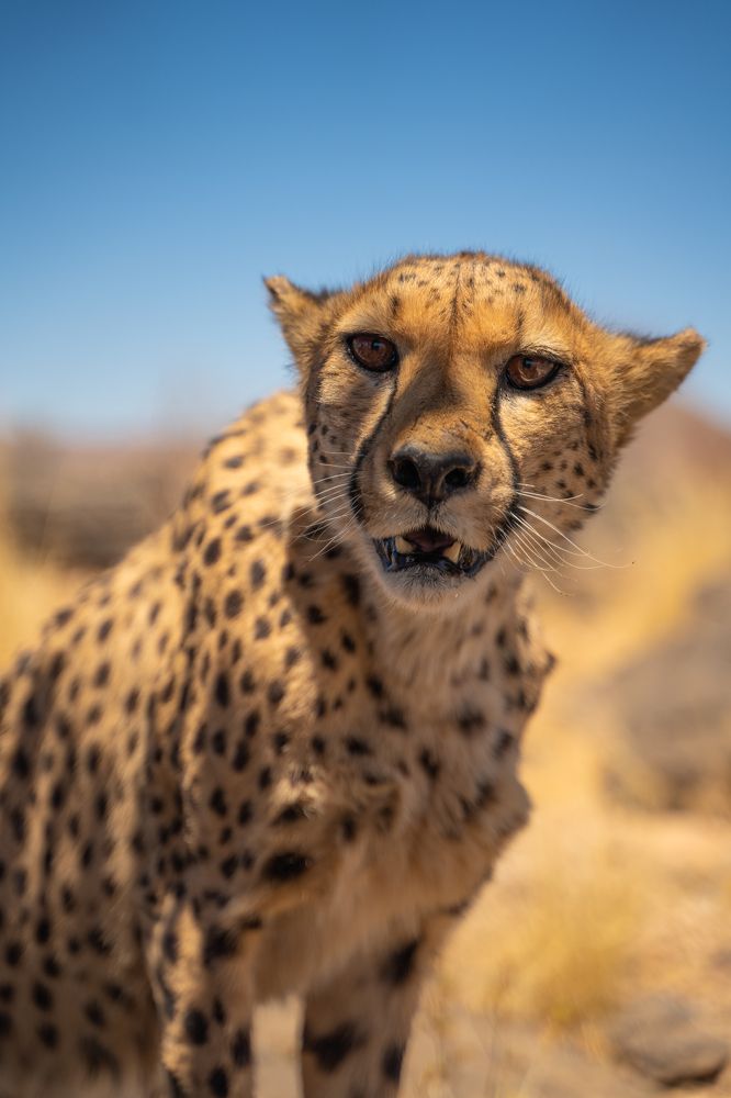 Photograph by Chris Stavrakas